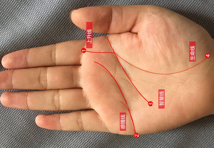 2025������б�������