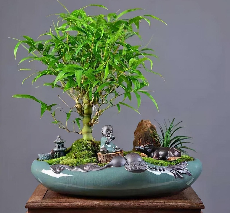 03��15����Ф������������