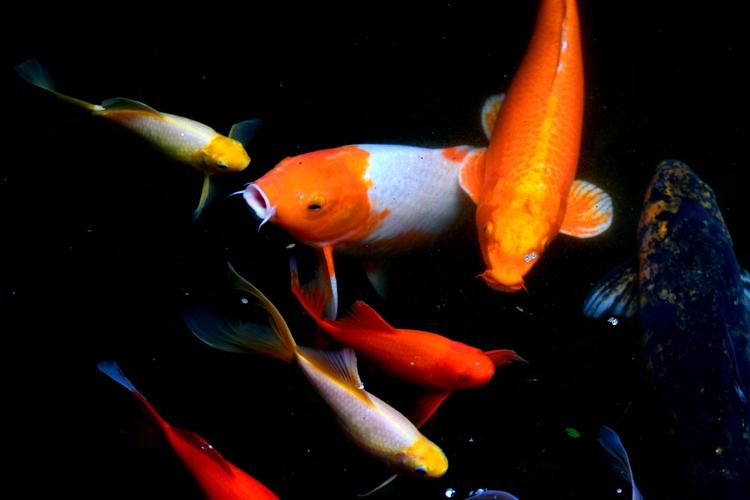 ���ֱ�������ʱ��ϸ�ĸ����ȡ�������ֲ�����(���ֱ������������Ӱ��δ�����ƺ������Ҹ�)