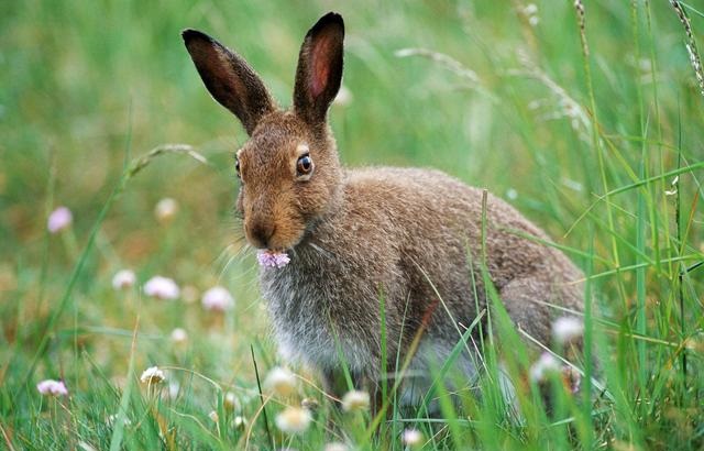 有创意的服装网店名字 有创意的服装网店名字