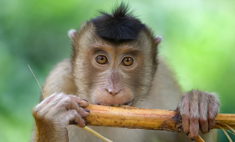 �����ˮС���� ����Ů���һ����Ƶİ���