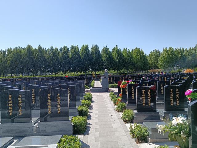 ������Ҽ����˻�Ӱ�����ͥ������(������Ҽ����˻�Ӱ�����ͥ������)