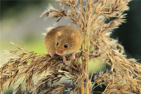 2025���̫�그̫���Ӱ���������������(2025���̫�그̫��������д��ۻ�Ӱ�찮����)