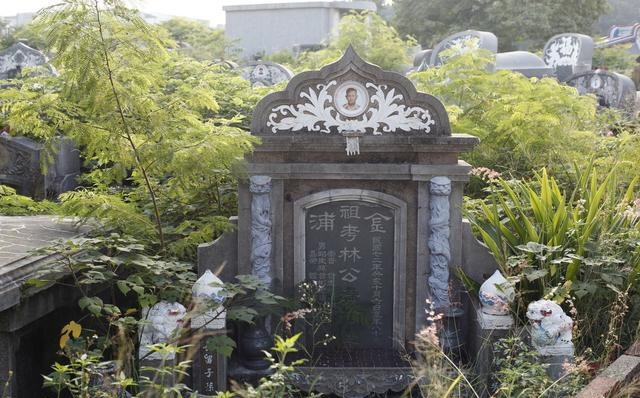 2025生肖属龙运势会影响生肖羊的未来发展(2025生肖属龙运势会对羊年出生的人产生怎样的影响呢) 2025生肖属龙运势会影响生肖羊的未来发展(2025生肖属龙运势会对羊年出生的人产生怎样的影响呢)