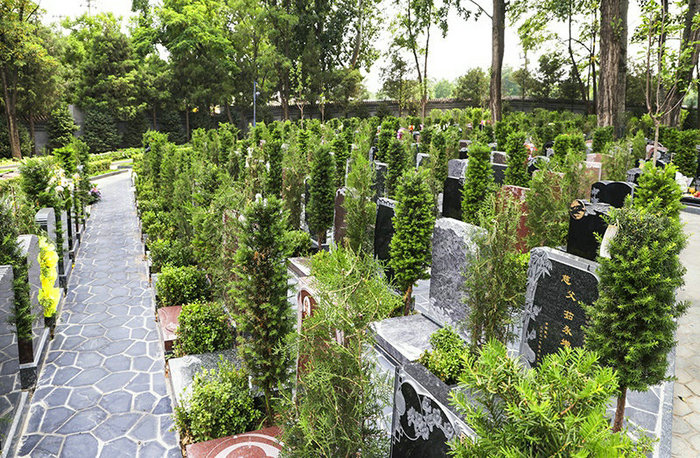 如何理解梦 介绍解梦的最高境界 如何理解梦 介绍解梦的最高境界