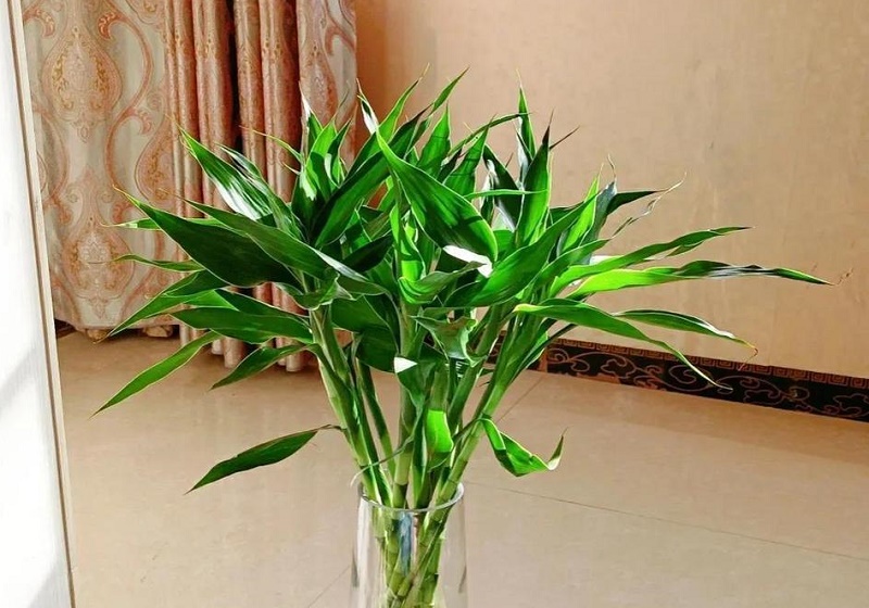 ��������պÿ���Ů���Ƕ���˭���պÿ����ؾ�