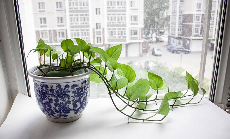 ���·���Ů�������ָò��ܸ���Χ���������˷�չ(���·���Ů�������ָò�����������)