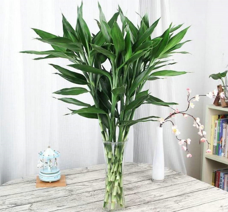 ���ӳ�������Ҫע��