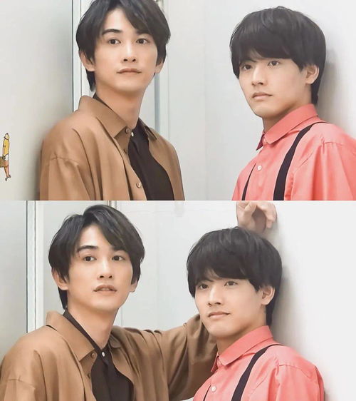 ������ֲ���Ԥ�ⰵʾ������������(������ֲ���Ԥ��ᵼ�¾�����������)