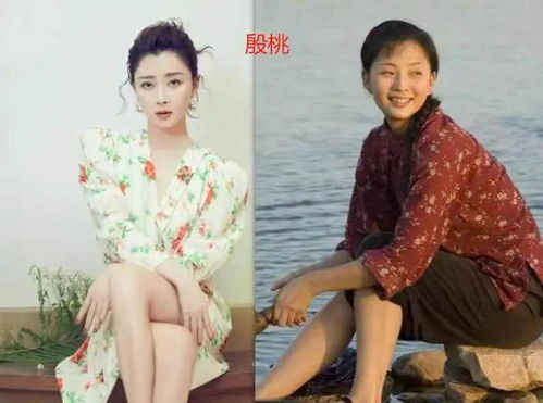 ɥʬƬ�Ƽ� �ÿ���ɥʬƬ�Ƽ�