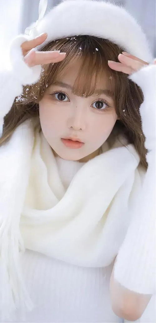 ������������_������������ ���ص�Σ�� 