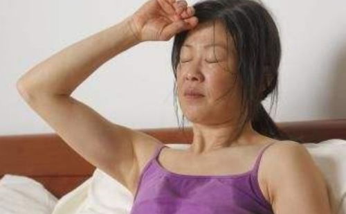 ��Ѳ⳵�ƺż���15183��������������밵�ص�������