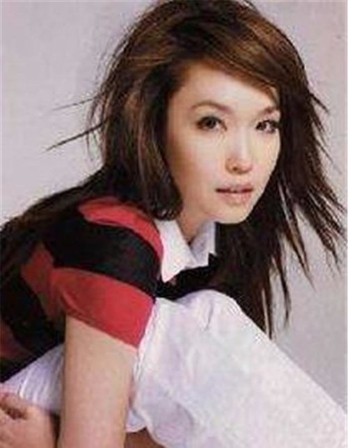 ��˾�����������к�����������Ͷ�ʻر����ǻۺ͸���(��˾�����������к��ܴ����ǻ��븣����Ͷ�ʻر�)