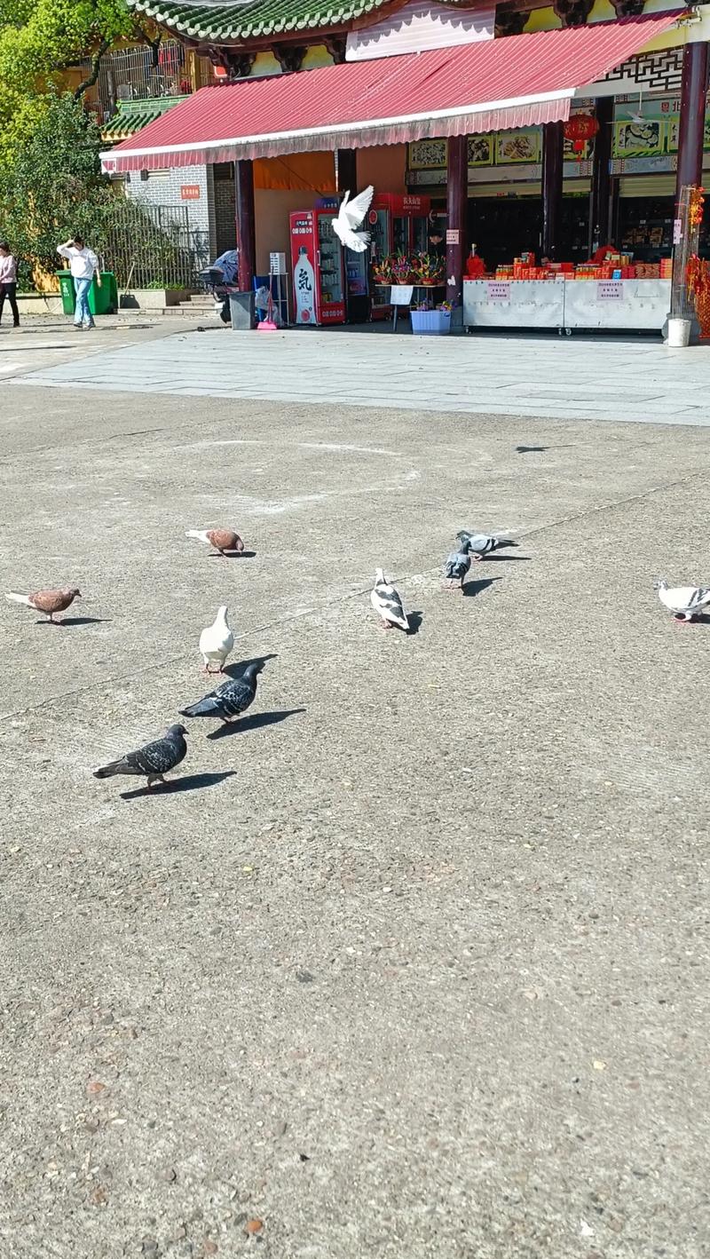 ��������������� �����ֵĺ���������