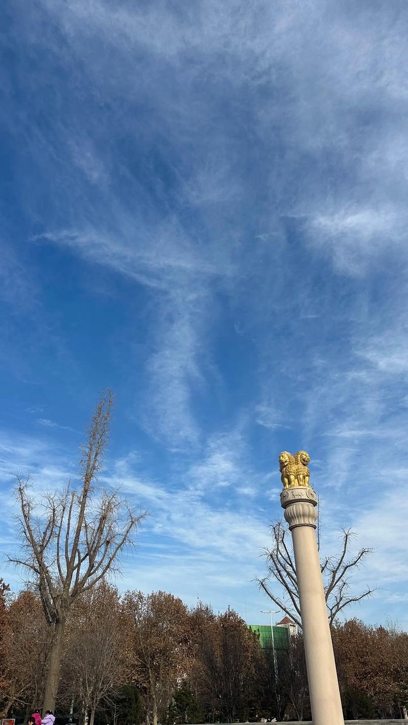 枇杷树与家居风水 房前种植枇杷树的风水学解读 枇杷树与家居风水 房前种植枇杷树的风水学解读