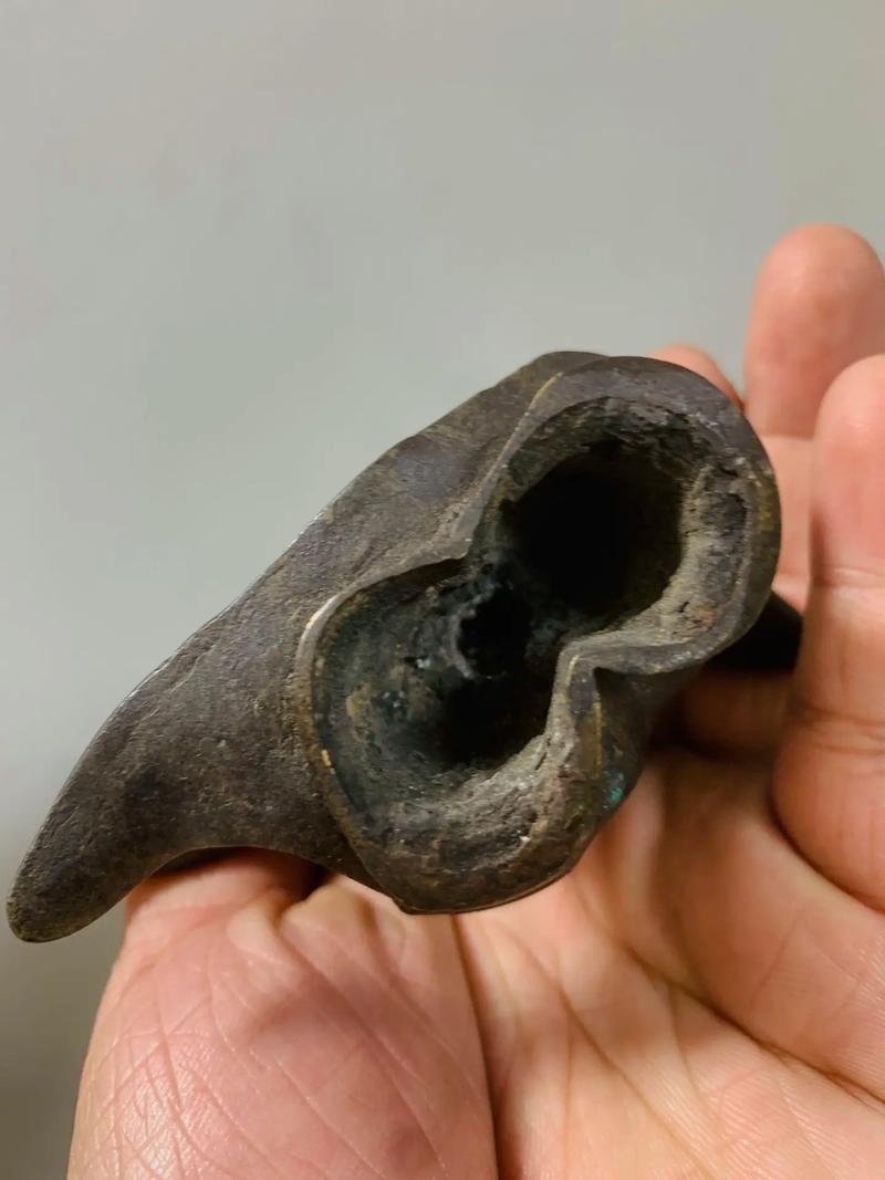 ���������� ������������������4�����