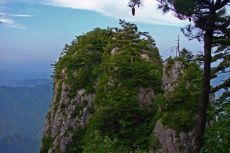 ֣ˬ���и����Ŀ�����