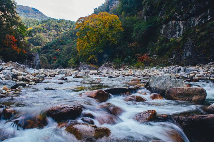 庐山旅行社 庐山旅行社报价 庐山旅行社 庐山旅行社报价