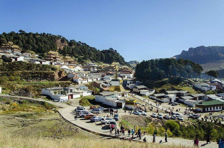 佛祖灵签2号签解签社交恐惧困扰你(佛祖灵签2号签解签能化解社交恐惧的困扰) 佛祖灵签2号签解签社交恐惧困扰你(佛祖灵签2号签解签能化解社交恐惧的困扰)