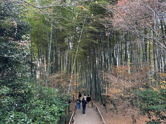 ����ѹ���Ļ��ⷽ��