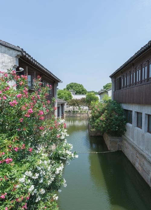 生肖鼠女最怕出生几月 属鼠的几月出生最好 生肖鼠女最怕出生几月 属鼠的几月出生最好