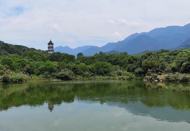 ����ɻ�ڷŵĶ���