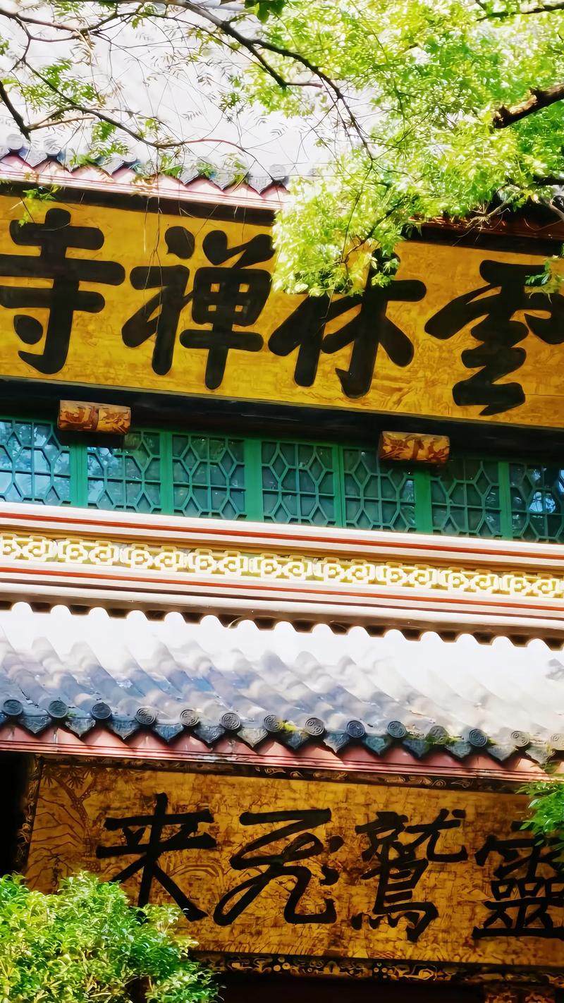 ���������氮���巴Ӧ