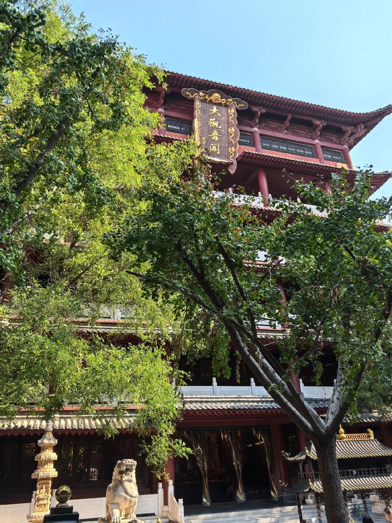 �����ˮС���� ������������ؼ�