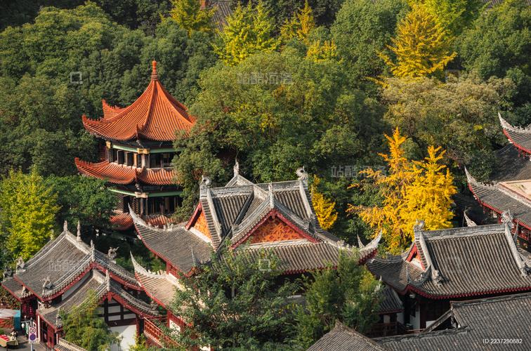 ������ֻ���������˼