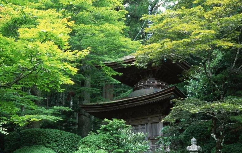 ����������ҳ�籣����