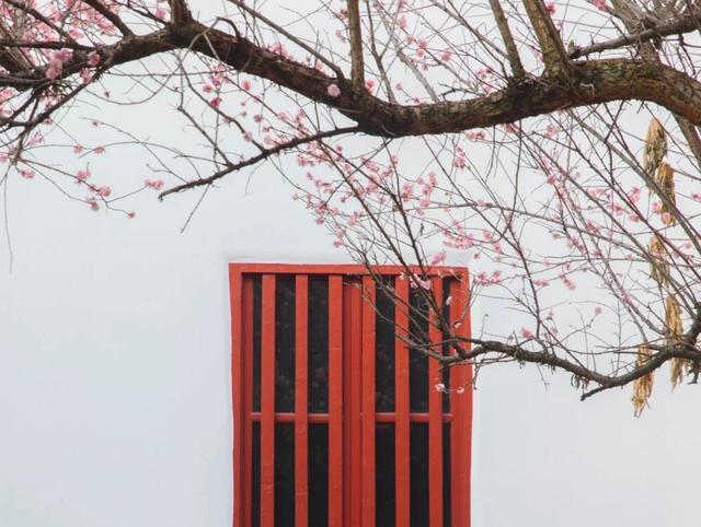 ��Ի�ϲԩ�ҵİ������ ���Ǹÿ��� Ϊ�������������