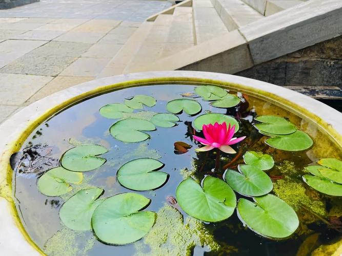 Ů���ǵĽ�_Ů���ǵĽŵ�