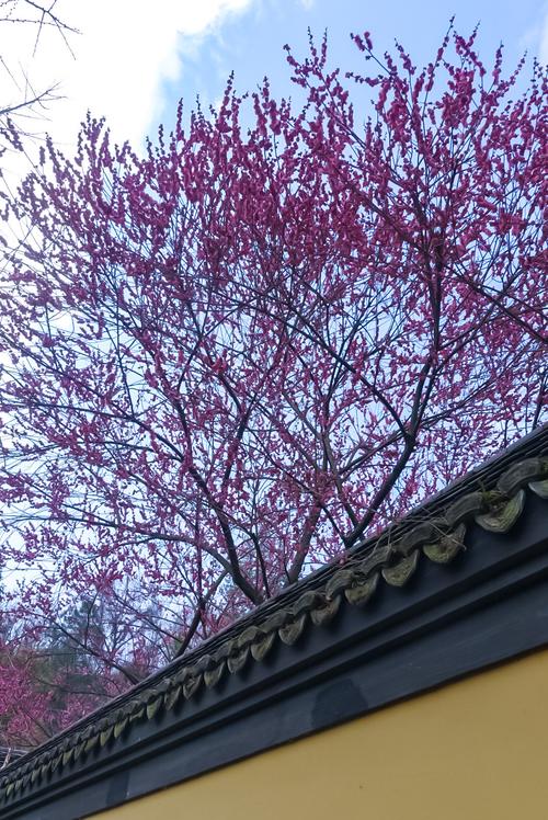 ���ֱ�֮����62��