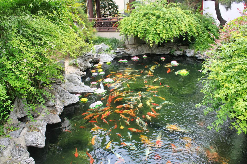 ��ˮ֮������� ��Ϥ��������