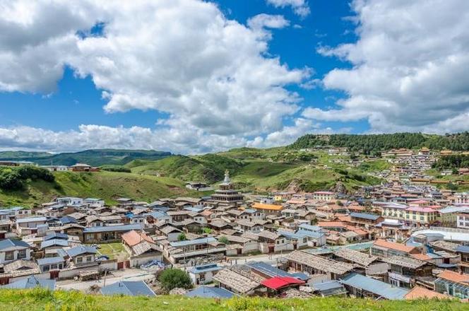 �����Ը�����Ezoey������Ԥ��ȫ�꼰ʮ����������