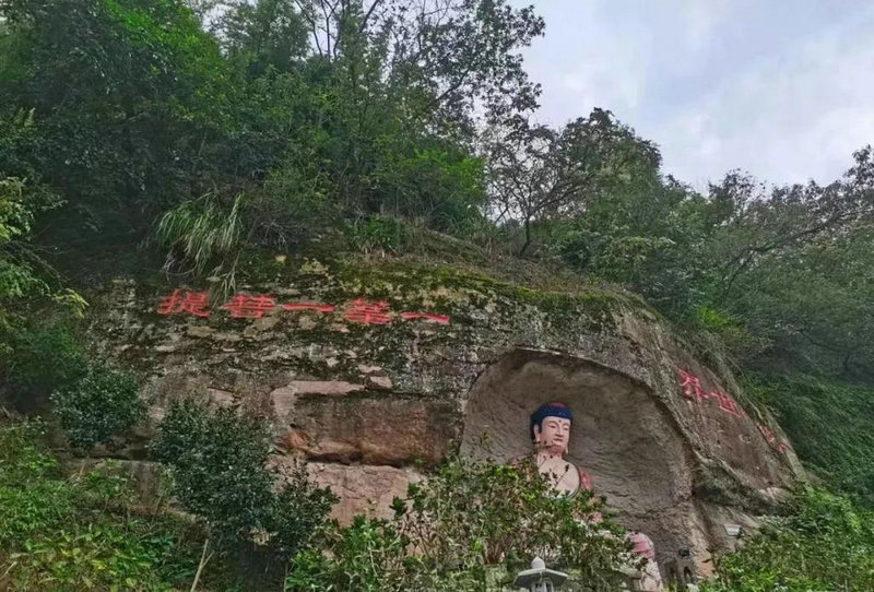 ����������ղ��˷������ѱ���Ӱ�����(����������ղ��������ѱ��Ѷ�����)