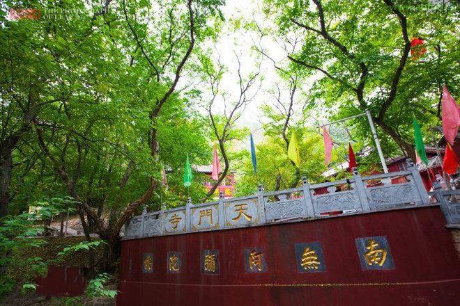 ���걾�����ɫ�ĵ�����Ӱ����Ф�������(���걾�����ɫ��Ӱ����������ƺ������켣)