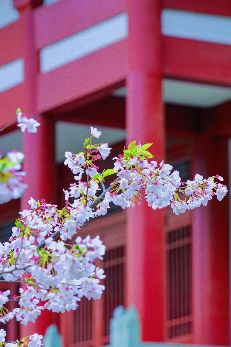 ������С���������