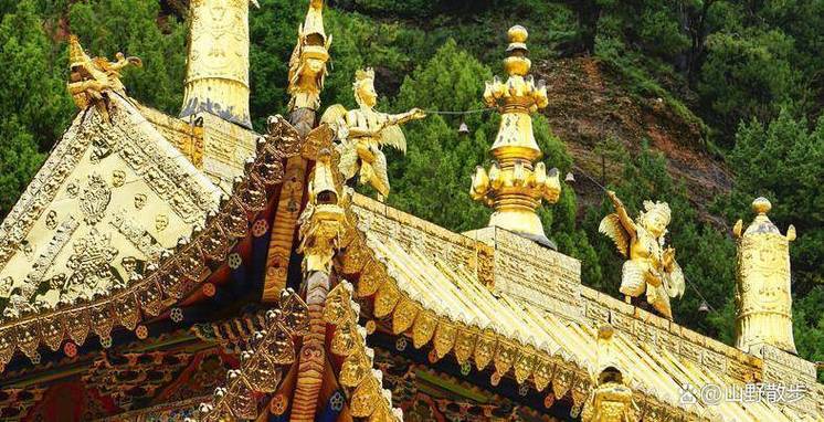 �ص���ǩ32��_�������_��ѧ·�ϵ�����(�ص���ǩ32��������� ��ѧǰ;��ã)