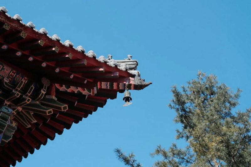 ��ά��ӽ÷_��ά��ӽ÷����