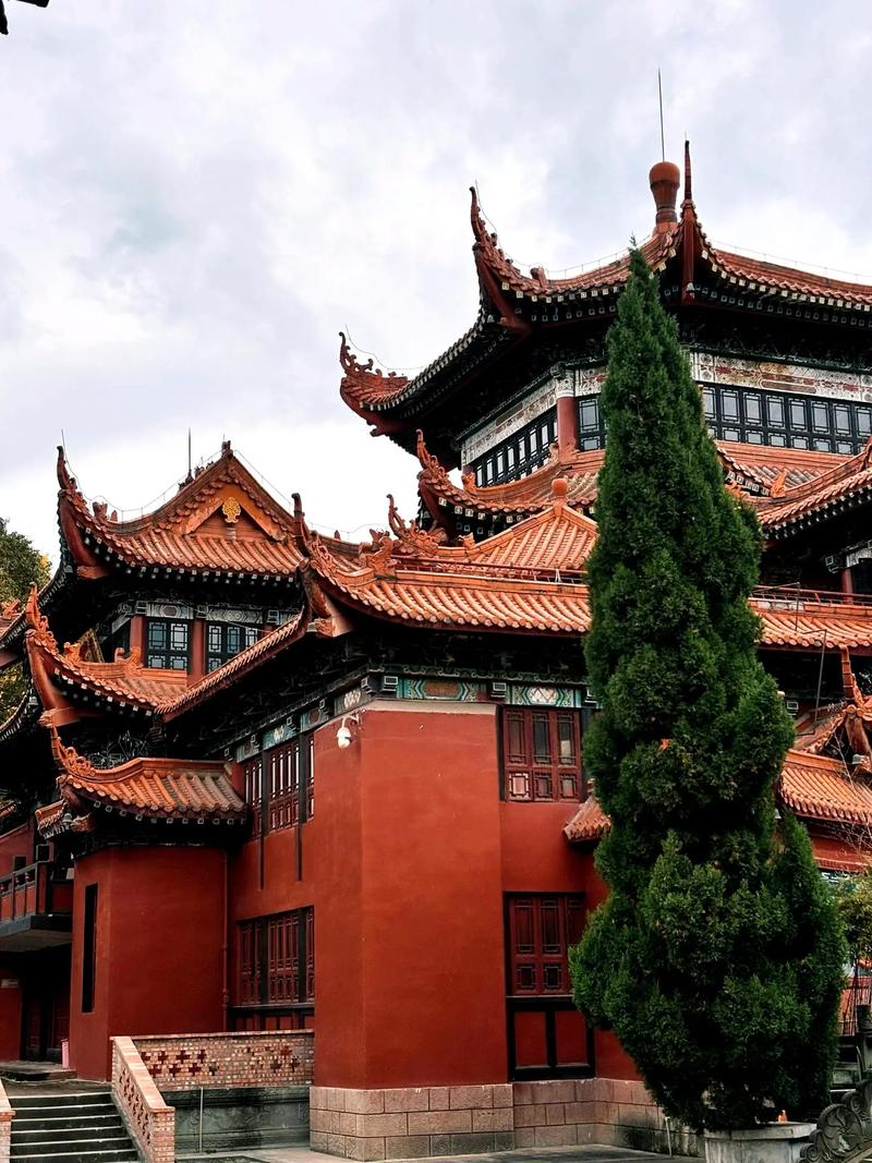 ��������屣���������� �׳����������ڱ�