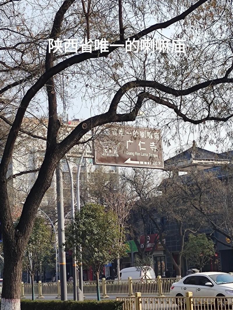 ���й�ɱ͸һƬ��ʲô ����������