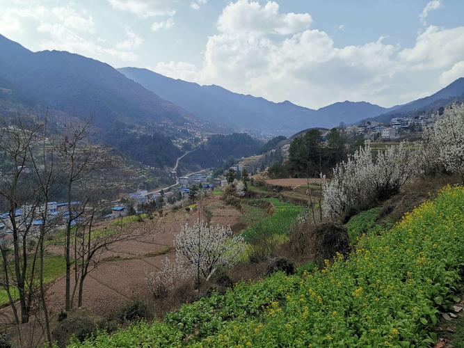 十二星座办公室布局指南 星座与风水的完美结合 十二星座办公室布局指南 星座与风水的完美结合