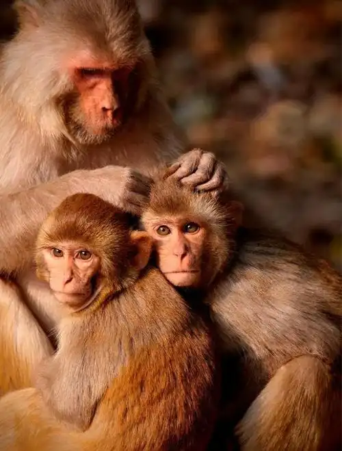 ϲ�������̫�Ǵ���