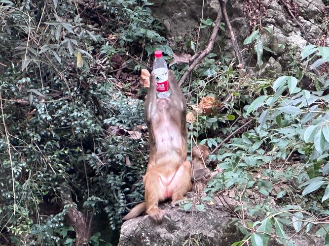 ʮ���������Ѷ�����ô��οŮ��