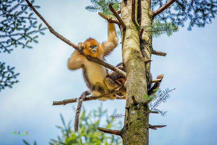 ��Ů�������ֻ�Ӱ����½�ɫ��ͻ�ĸ���(��Ů������������½�ɫ��ͻ��Ӱ������)