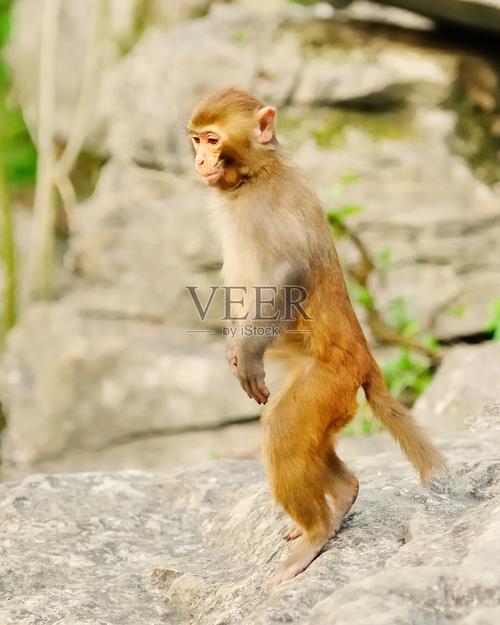 台媒曝大s生三胎儿子 台媒曝大s生三胎儿子