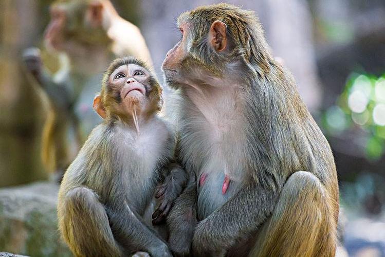 ������������Ӧ�ñܿ����ѱ��ѵ�����(������������ʱ���������ѱ��Ѷ������ĸ���Ӱ��)