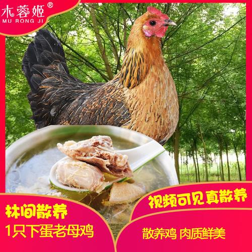 ��ѩ����״����ô����