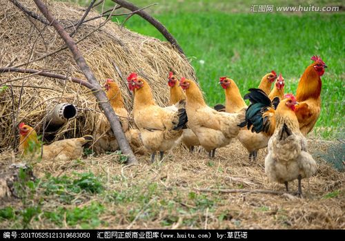 ����ƫ�Ƹ��